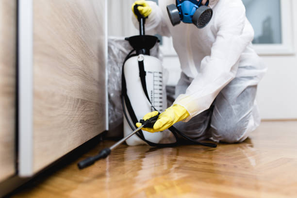 Best Affordable Pest Control Services  in Cottonde, AL