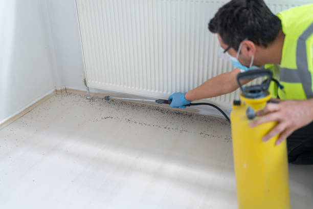 Best Pest Inspection Near Me  in Cottonde, AL