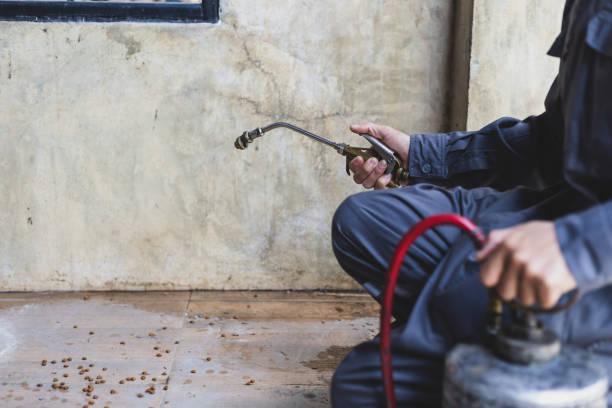 Best Best Pest Control Companies  in Cottonde, AL